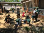 Sensory Garden Learning