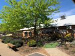 Sensory Garden